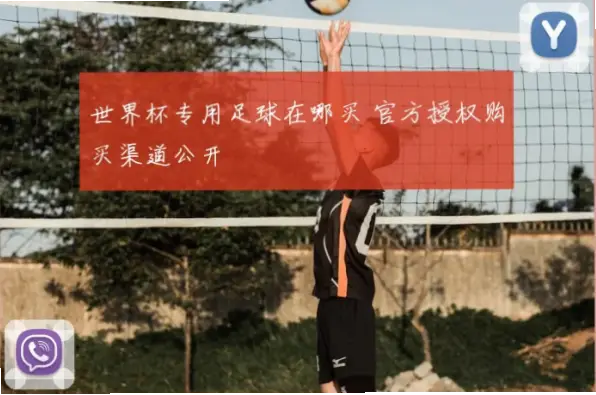 世界杯在哪里买？官方渠道最可靠